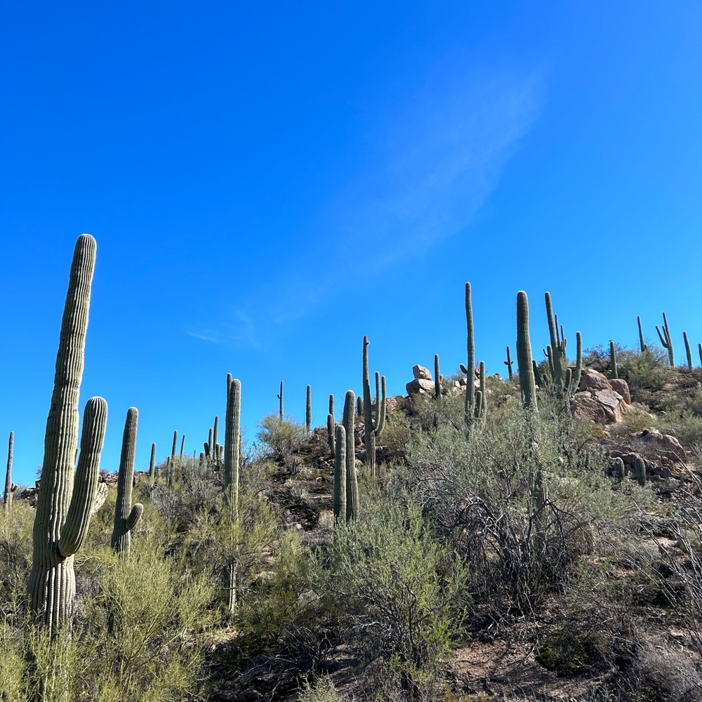 Meet your Posher, Julia